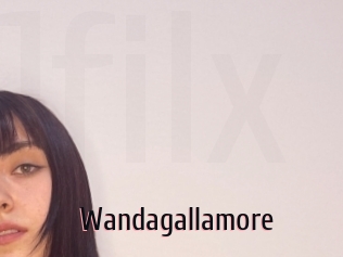 Wandagallamore