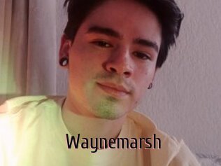 Waynemarsh
