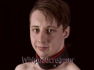 Whippedcreamer