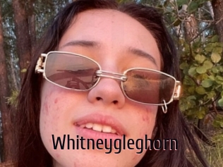 Whitneygleghorn