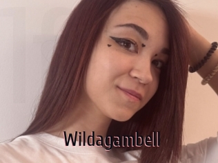 Wildagambell