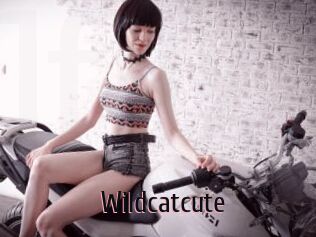 Wildcatcute