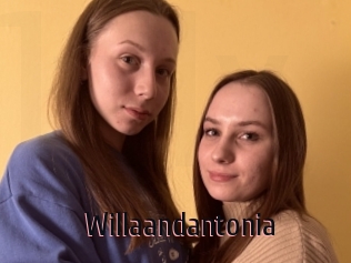 Willaandantonia