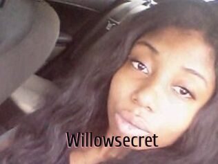 Willow_secret