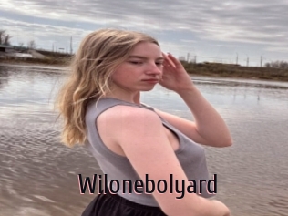 Wilonebolyard
