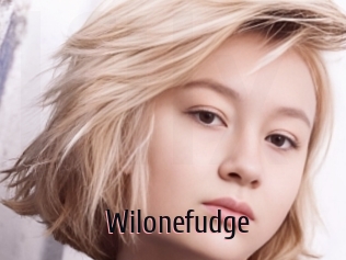 Wilonefudge