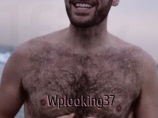 Wplooking37