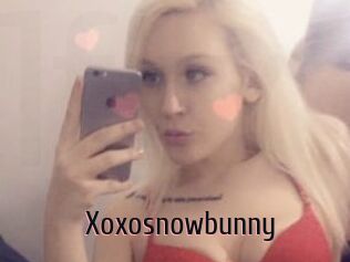 Xoxosnowbunny