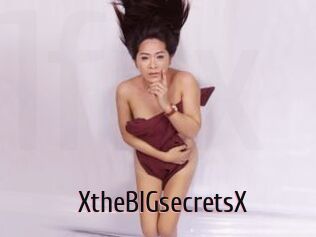 XtheBIGsecretsX