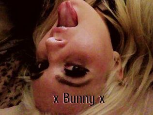 _x_Bunny_x_
