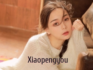 Xiaopengyou