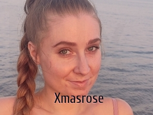 Xmasrose