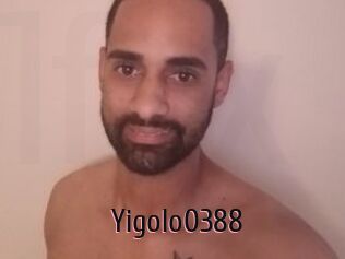 Yigolo0388