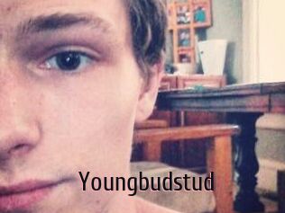 Youngbudstud