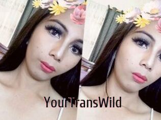 YourTransWild