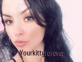 Yourkittyforever