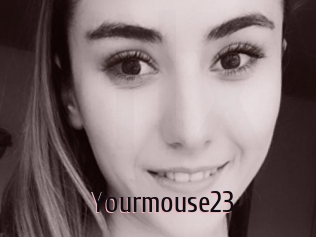Yourmouse23