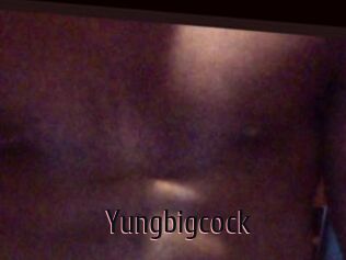 Yungbigcock