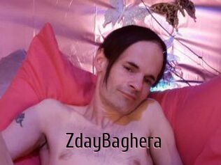 ZdayBaghera