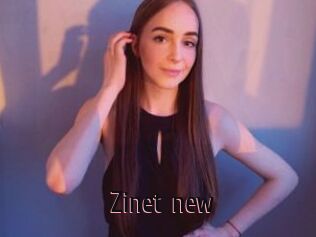 Zinet_new