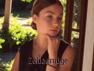 Zeldadrudge