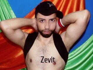 Zevit