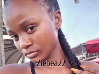 Ziebea22